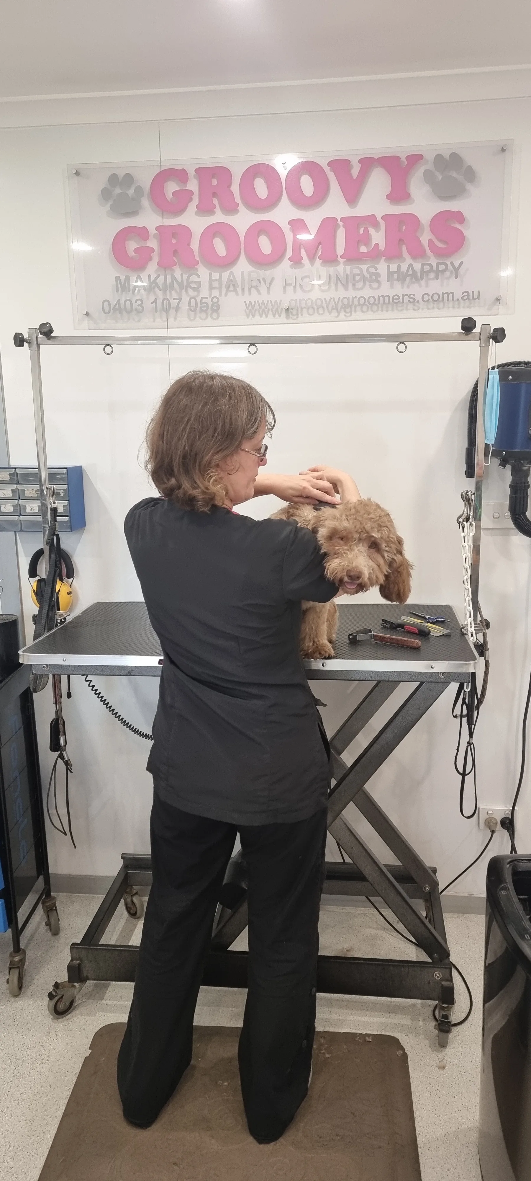 Carol grooming an apricot cockapoo on the hydraulic salon table, Groovy Groomers wall banner in the background